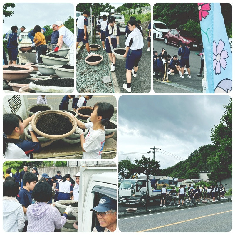 土入れ５